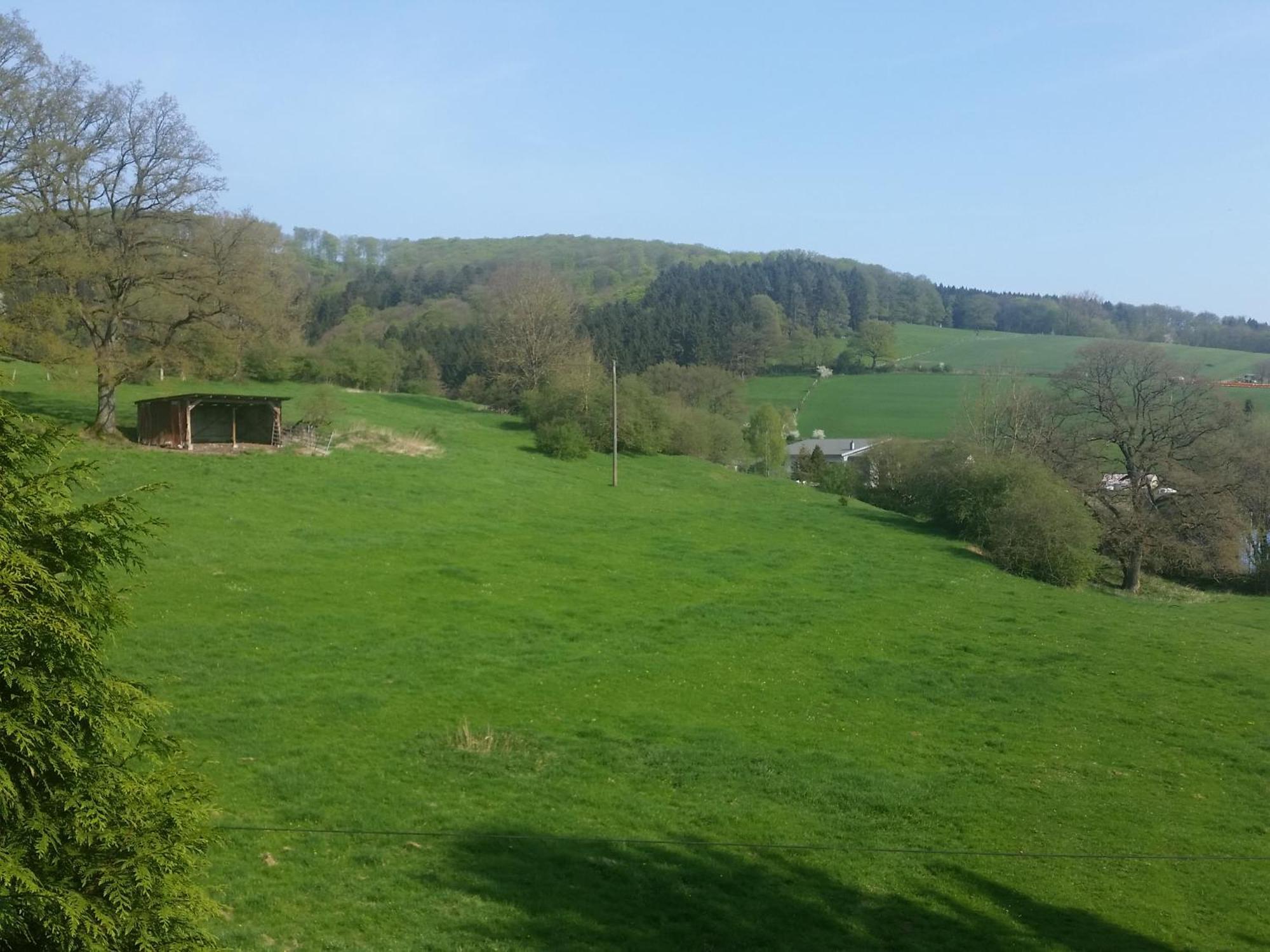 Fewo Am Wald Balve Kamer foto