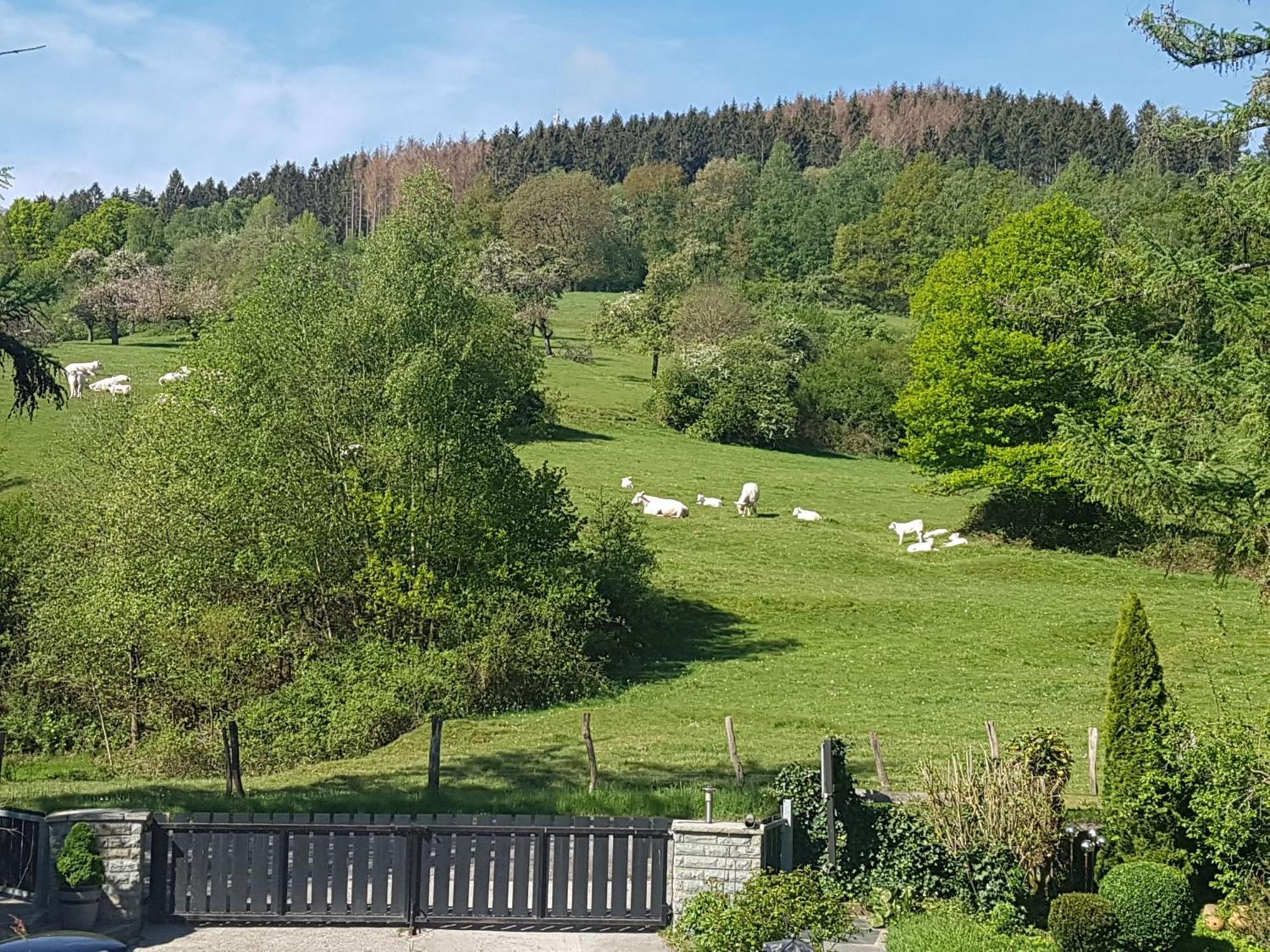 Fewo Am Wald Balve Kamer foto